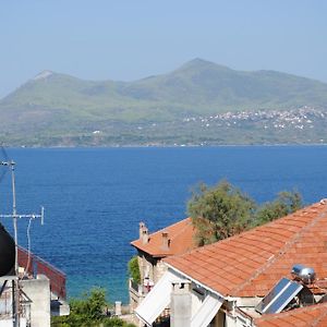 Calypso Beach Hotel